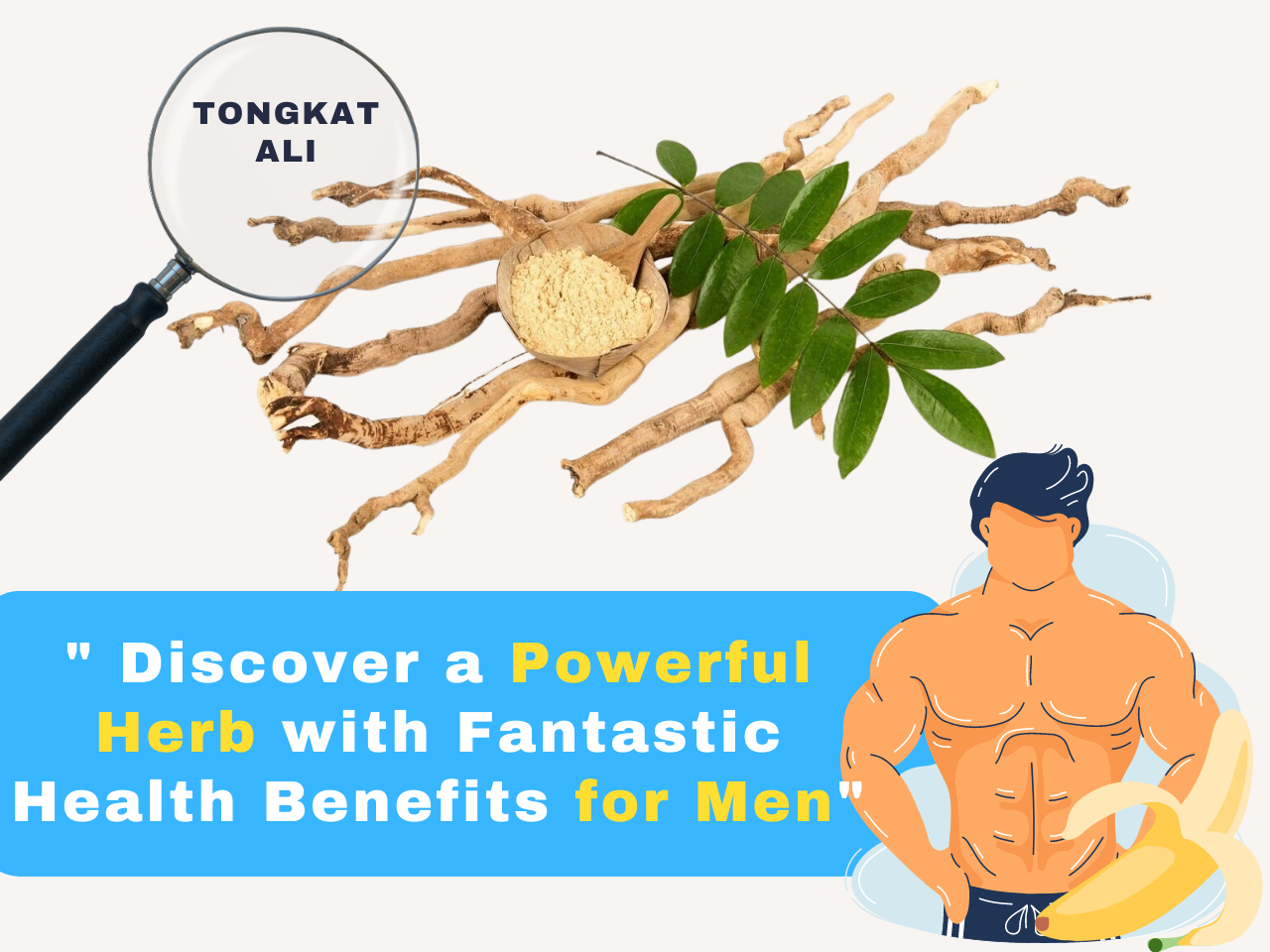 Powerful Health Benefits of Tongkat Ali Powder – HOLISTIC VYBEZ