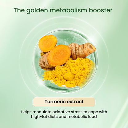 VITAREALM POWERLIVER GOLD  |  Liver Cleanse Fatty Liver Support Antioxidant